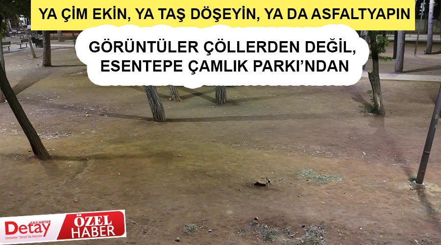 fg_RO7LM.jpg