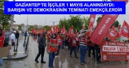 df_St719.jpg
